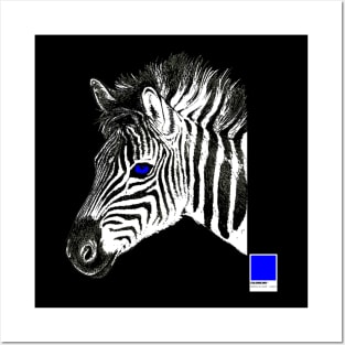 ZEBRA BLUE - white full  by COLORBLIND WorldView Posters and Art